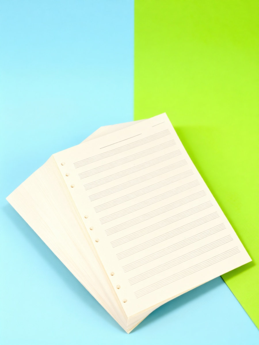 Blank Sheet Music Notebook - 100 hojas de papel para manuscritos